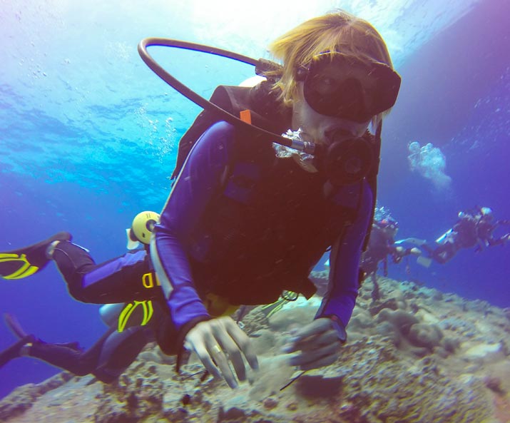 buceo en la herradura hotel almijara experiencia de buceo en la herradura granada hotel almijara